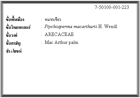 กล่องข้อความ: 7-50100-001-223 ชื่อพื้นเมือง : หมากเขียว ชื่อวิทยาศาสตร์ : Ptychosperma macarthurii H. Wendl. ชื่อวงศ์ : ARECACEAE ชื่อสามัญ : Mac Arthur palm ประโยชน์